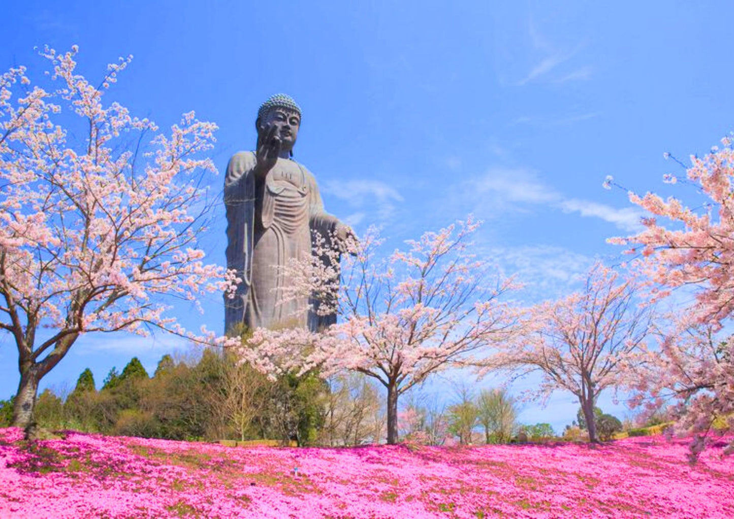 5 DAYS TOHOKU PRIVATE TOUR