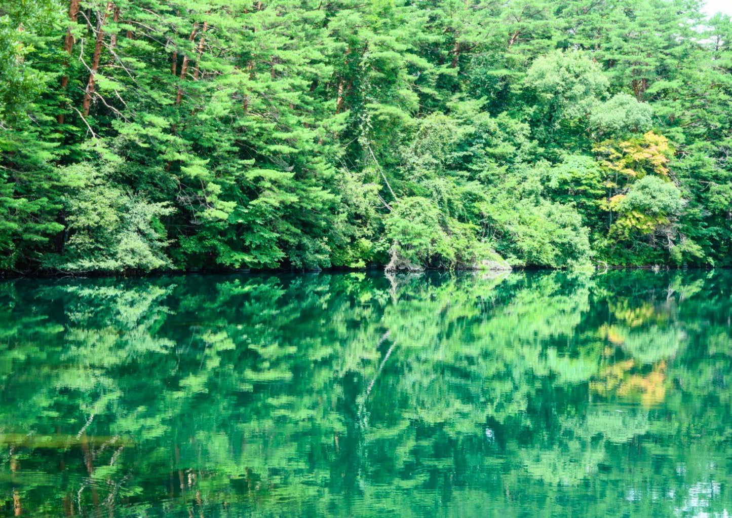 13 DAYS TOHOKU PRIVATE TOUR