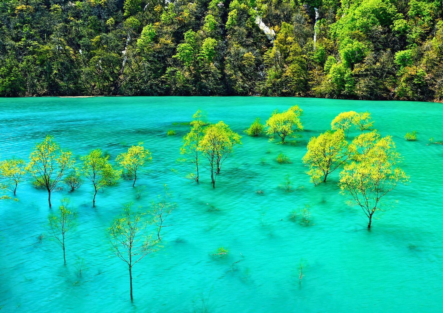 9 DAYS TOHOKU PRIVATE TOUR