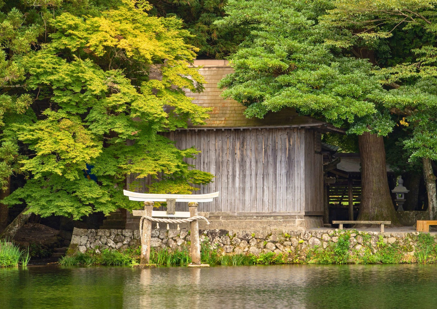 7天北九州私人包團