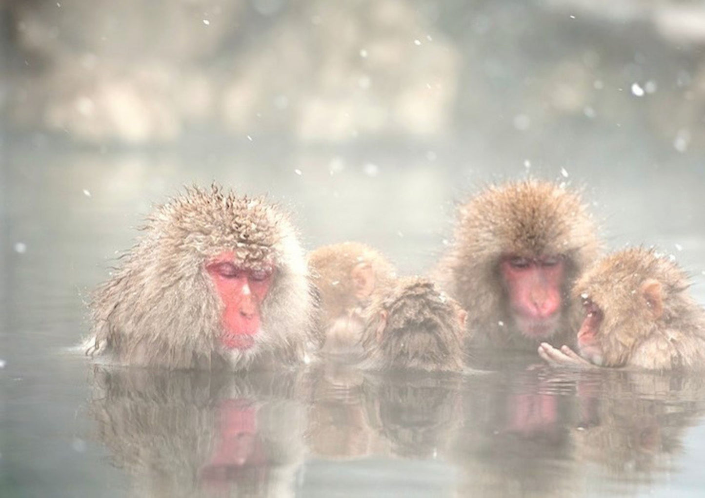 14日間の甲信越プライベートツアー