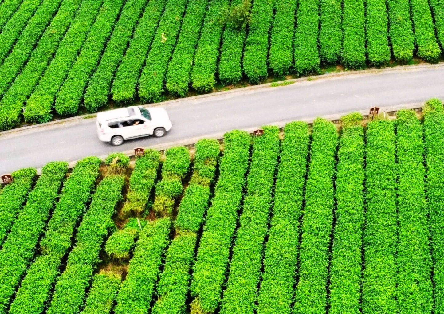 4 DAYS QINGYUAN PRIVATE TOUR