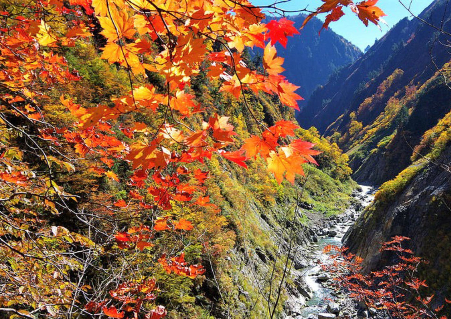 8間の立山黒部プライベートツアー