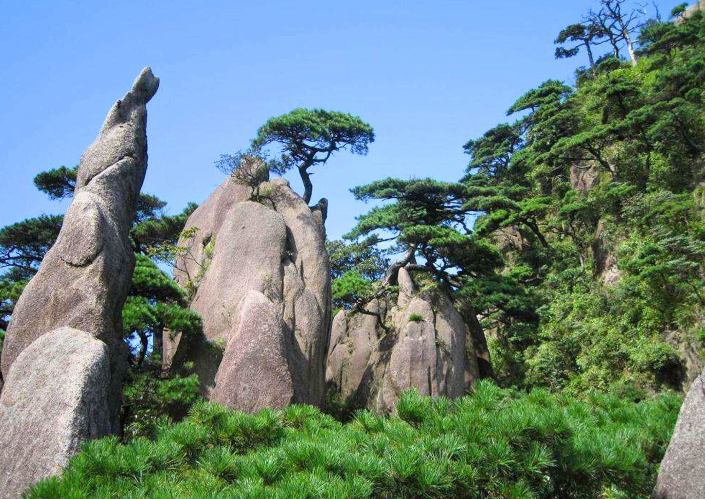 5 DAYS JIANGXI PRIVATE TOUR