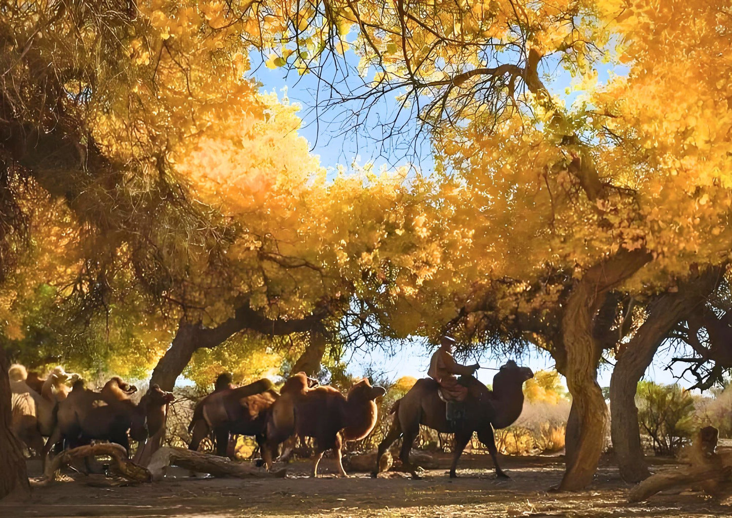 8 DAYS SOUTH XINJIANG PRIVATE TOUR