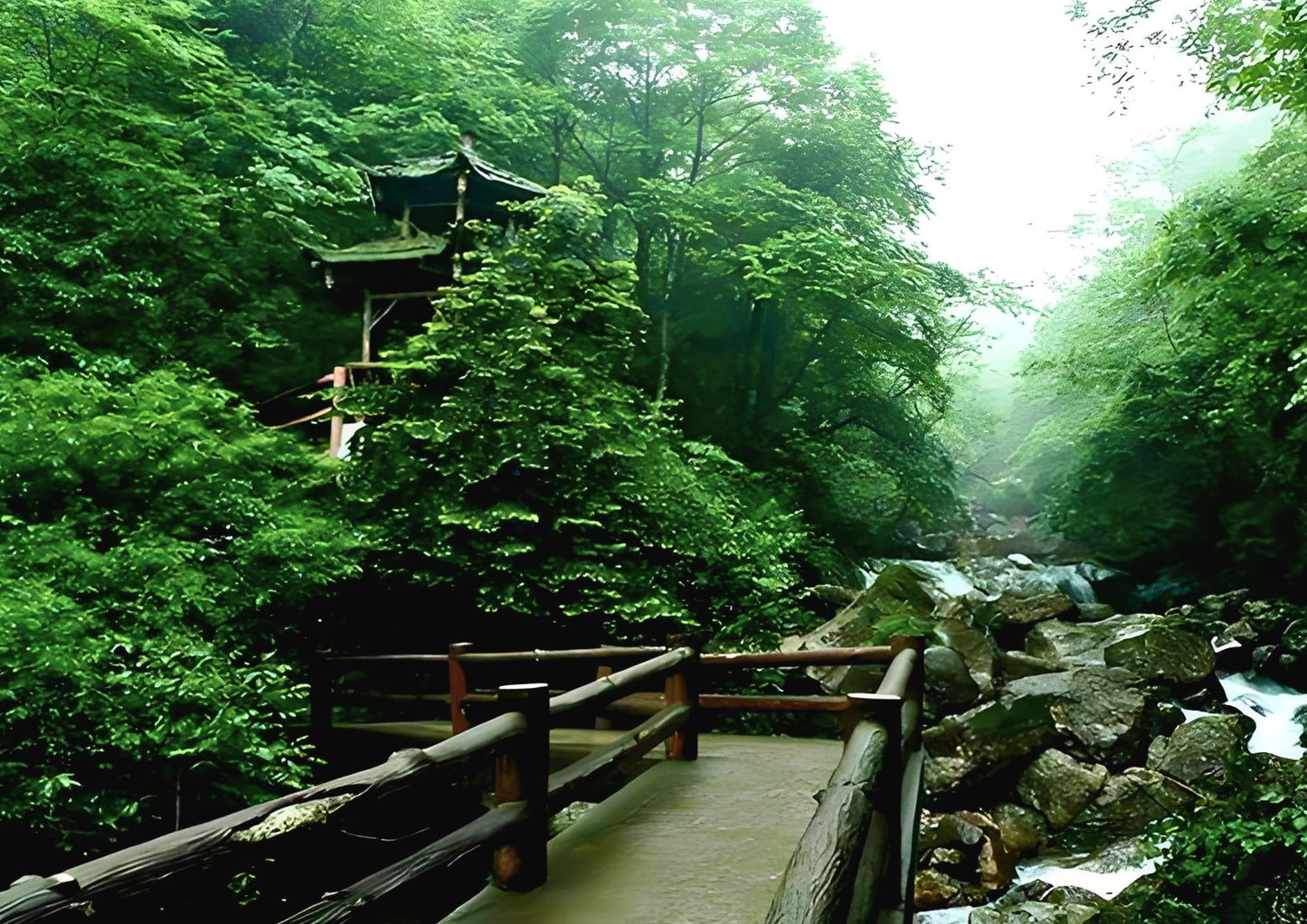 6日間の九寨溝プライベートツアー