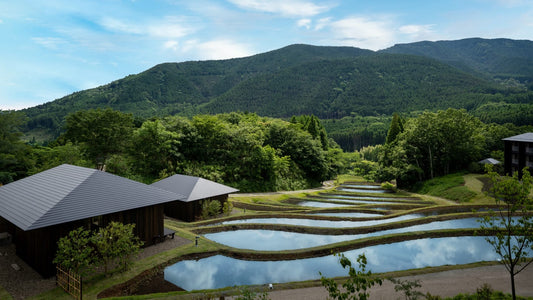 KAI Yufuin: How to Get There and What the Ryokan Overlooks