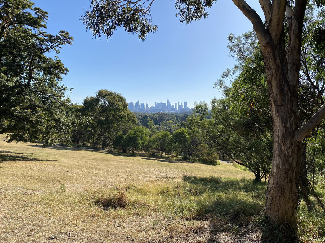 Where to Stay in Australia and New Zealand: Sydney, Melbourne and Queenstown
