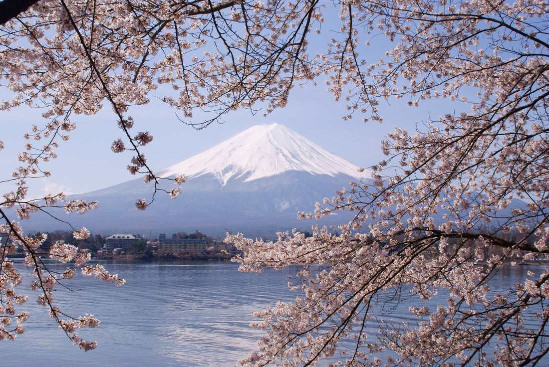 FUFU Kawaguchiko: How to Get There and How Many Nights