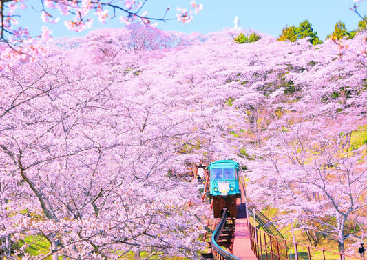 Japan in 7 Days: The Tokyo-Kyoto-Osaka Route