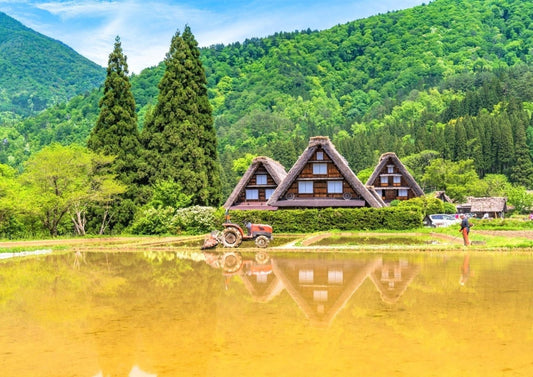 Shirakawa-go Private Tour: Thatched Villages in the Japanese Alps
