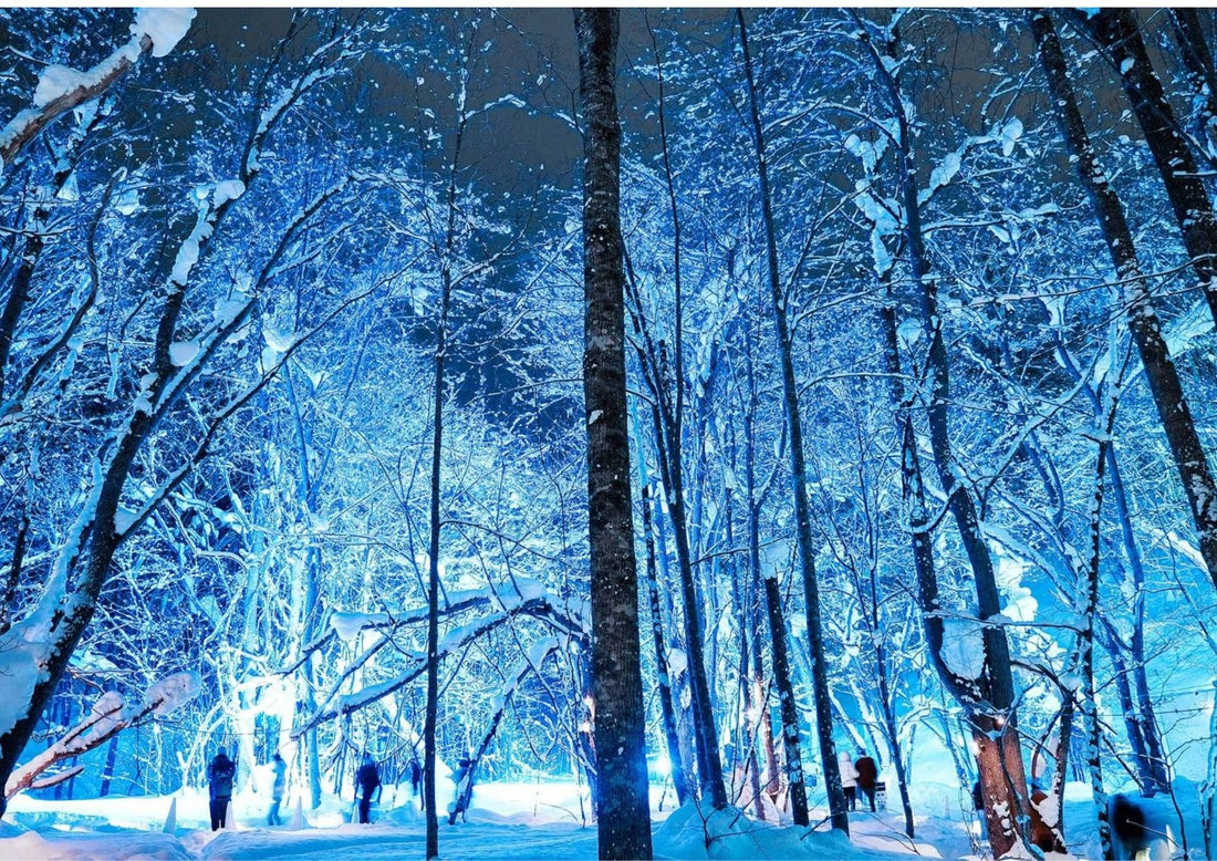 Central Hokkaido in 7 Days: Biei, Furano, Otaru