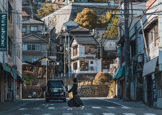 Sanyo & San'in Private Tour: Castles, Gardens & Japan Sea Coast