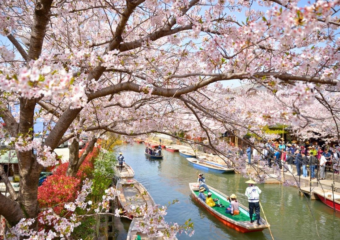 Japan With Elderly Parents: What to Plan For
