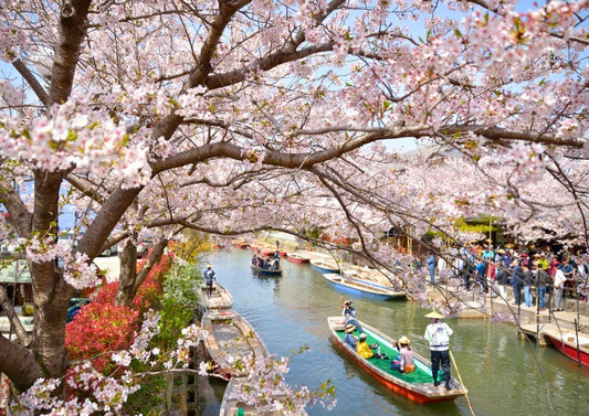 Japan With Elderly Parents: What to Plan For