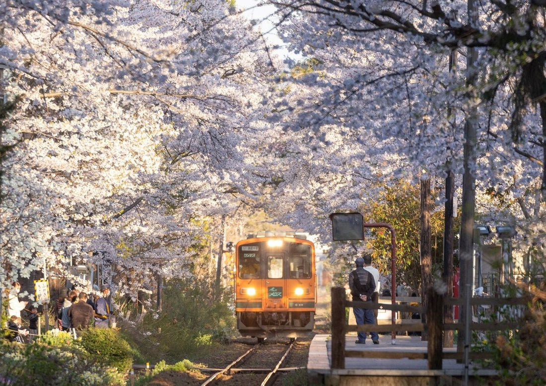 A 15-Day Private Tour Itinerary for Tohoku