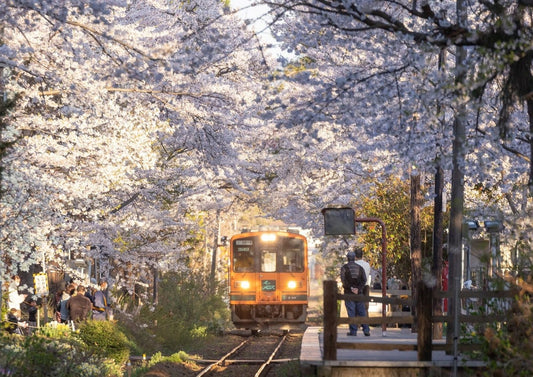 A 15-Day Private Tour Itinerary for Tohoku