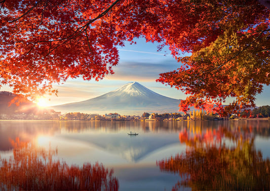 2026 Japan Private Custom Tour Guide | Bliss Travel