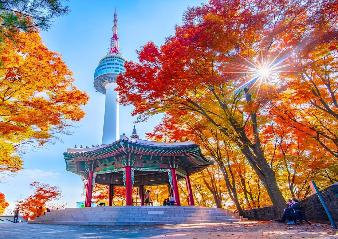 Seoul Private Tour Guide 2026 – Best Things to Do, Eat & See | Bliss Travel