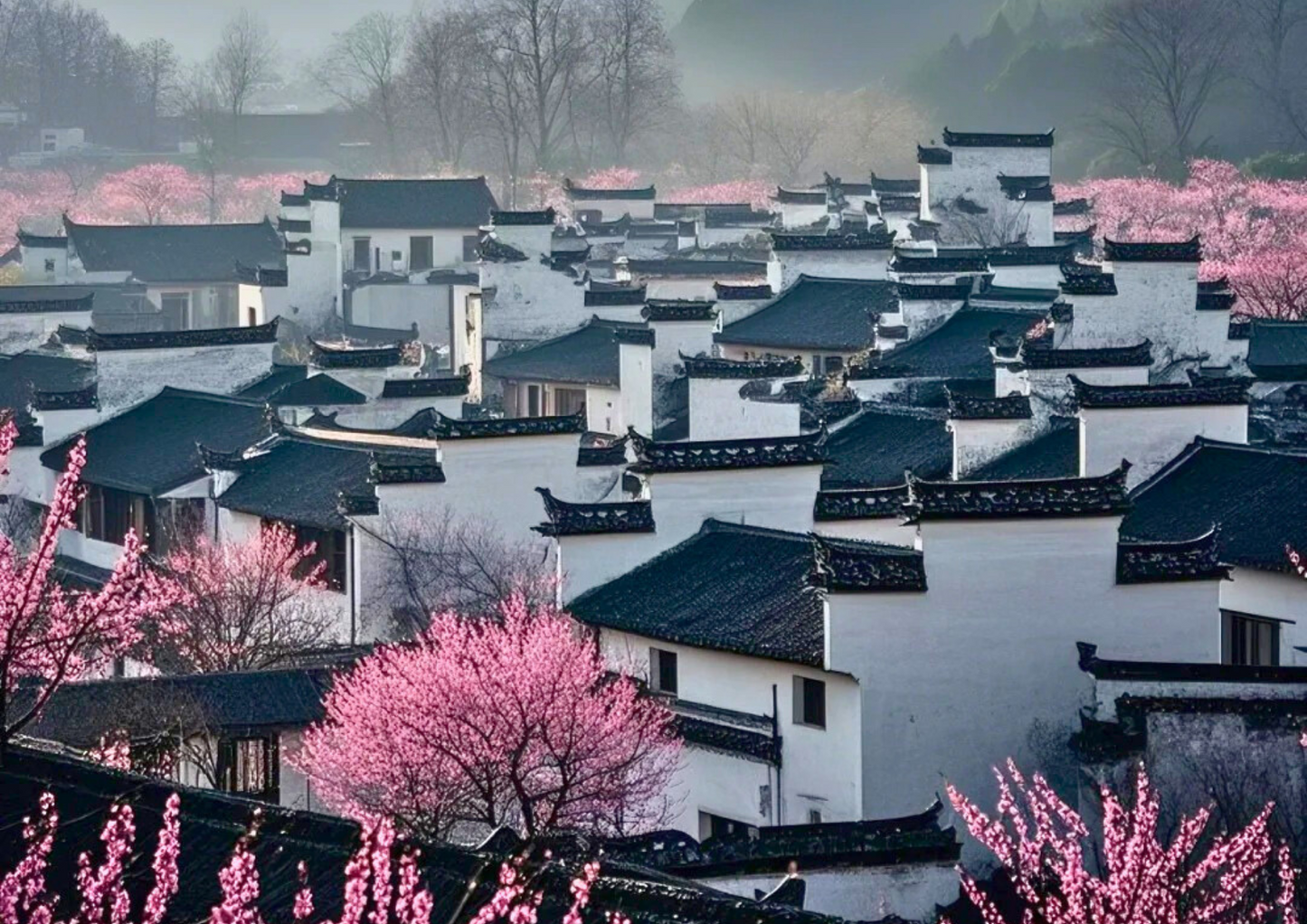 7日間の黄山プライベートツアー