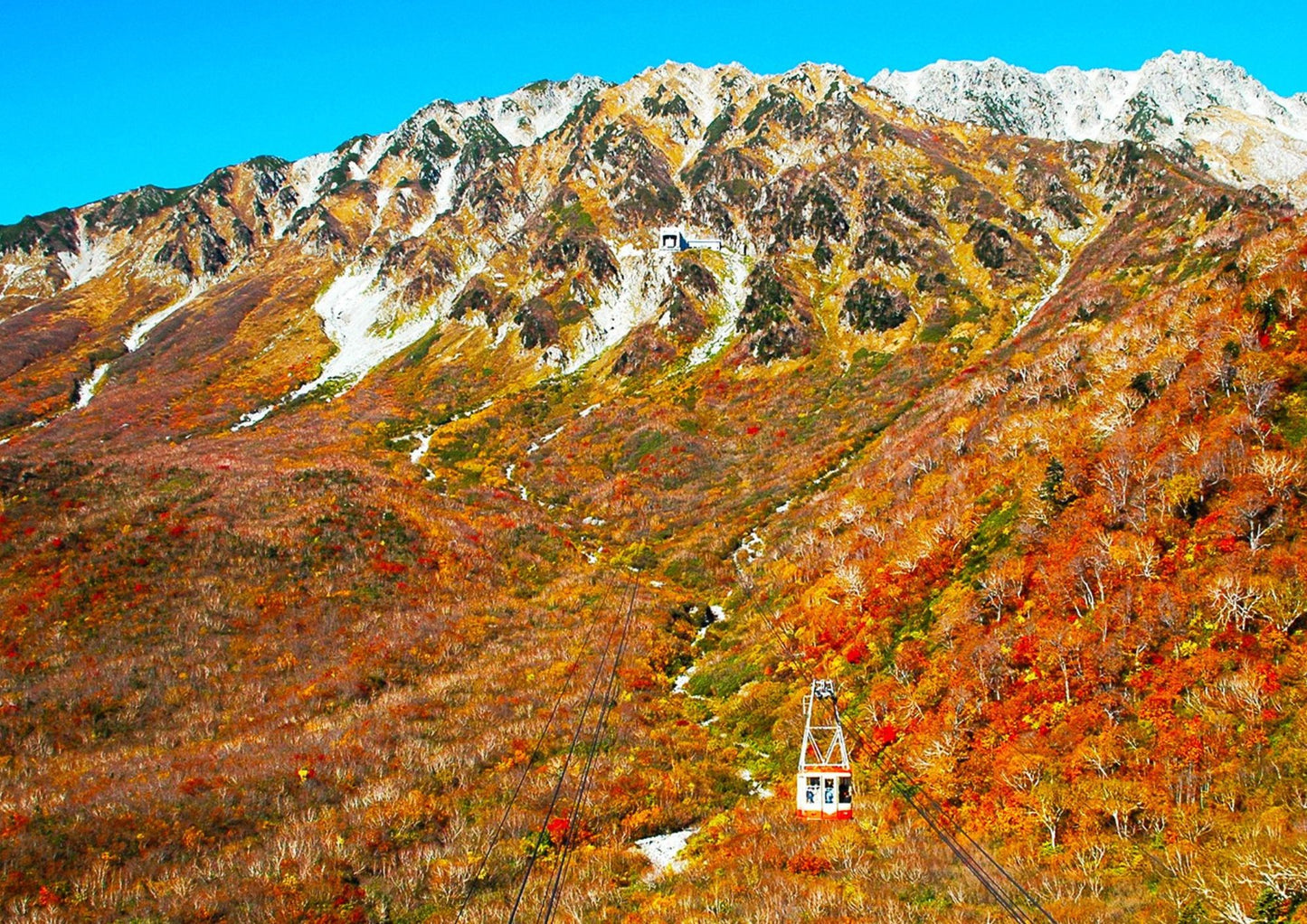 5日間の立山黒部プライベートツアー