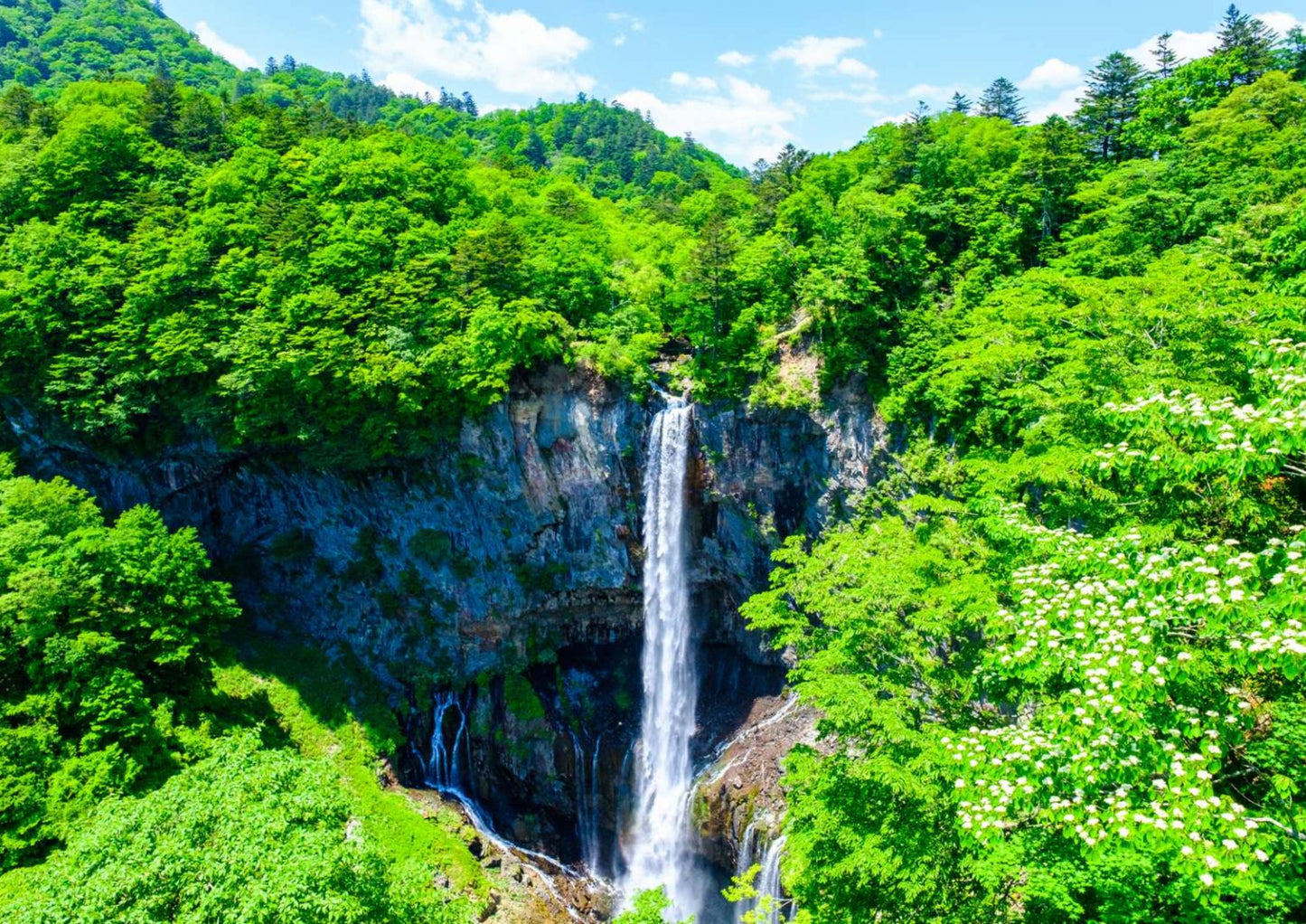 7日間の北関東プライベートチャーター