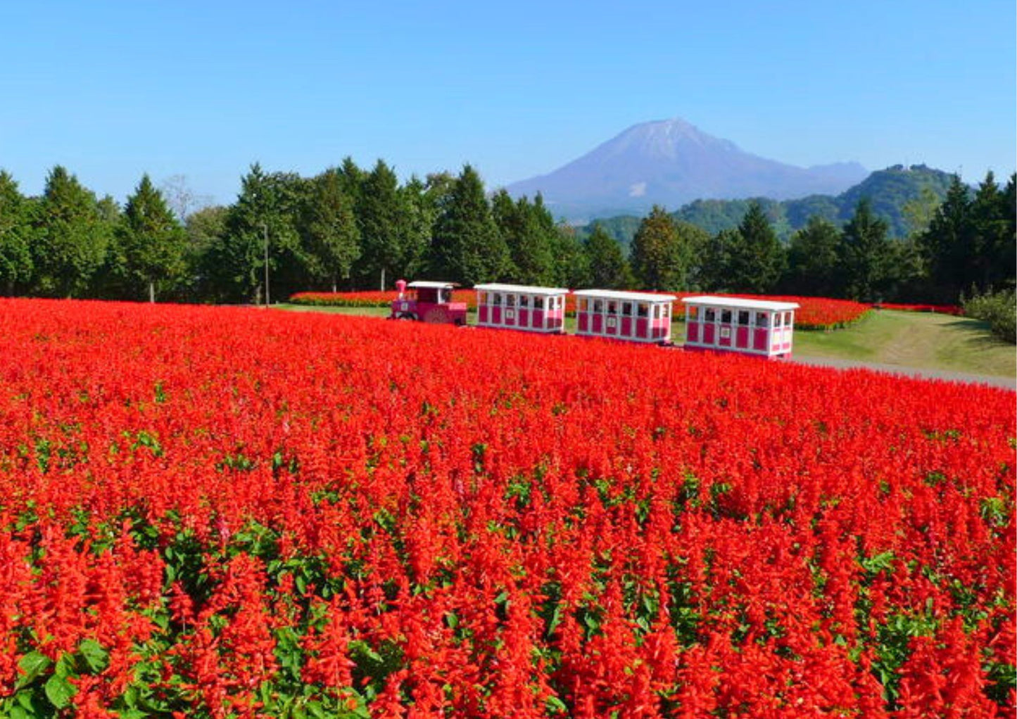 14日間の山陽・山陰プライベートツアー