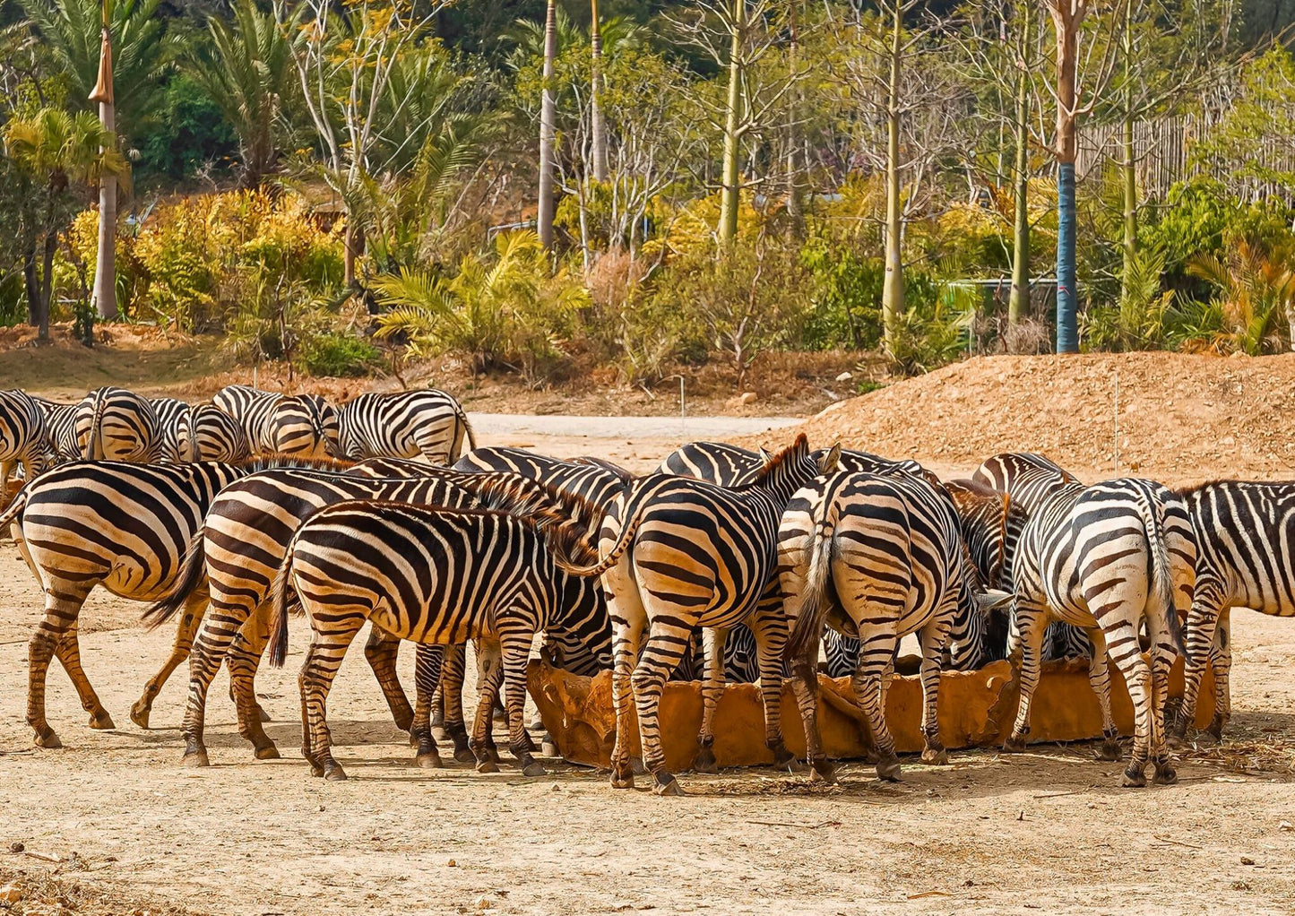 4 DAYS QINGYUAN PRIVATE TOUR