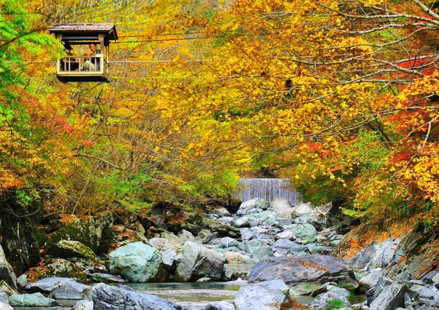 7 DAYS SHIKOKU PRIVATE TOUR