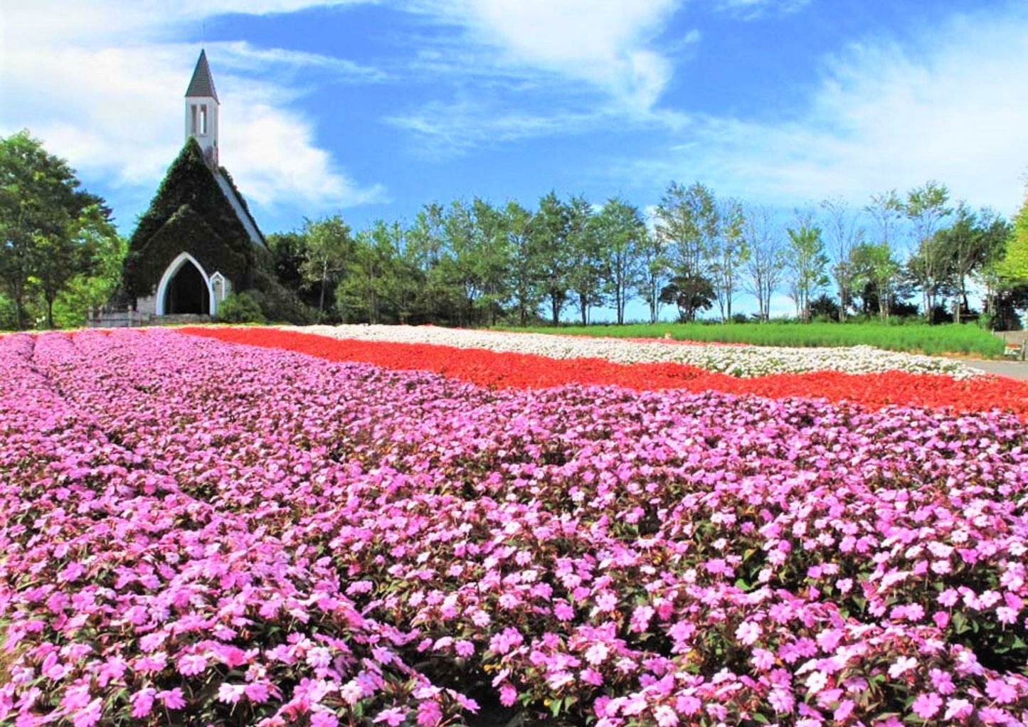 7 DAYS SHIRAKAWA-GO PRIVATE TOUR