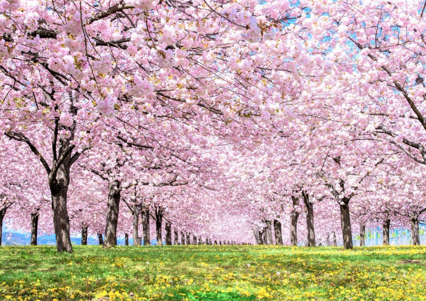 10天甲信越私人包團