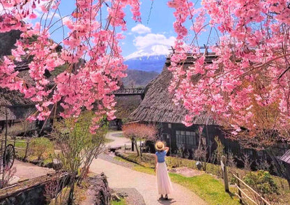 10天甲信越私人包團