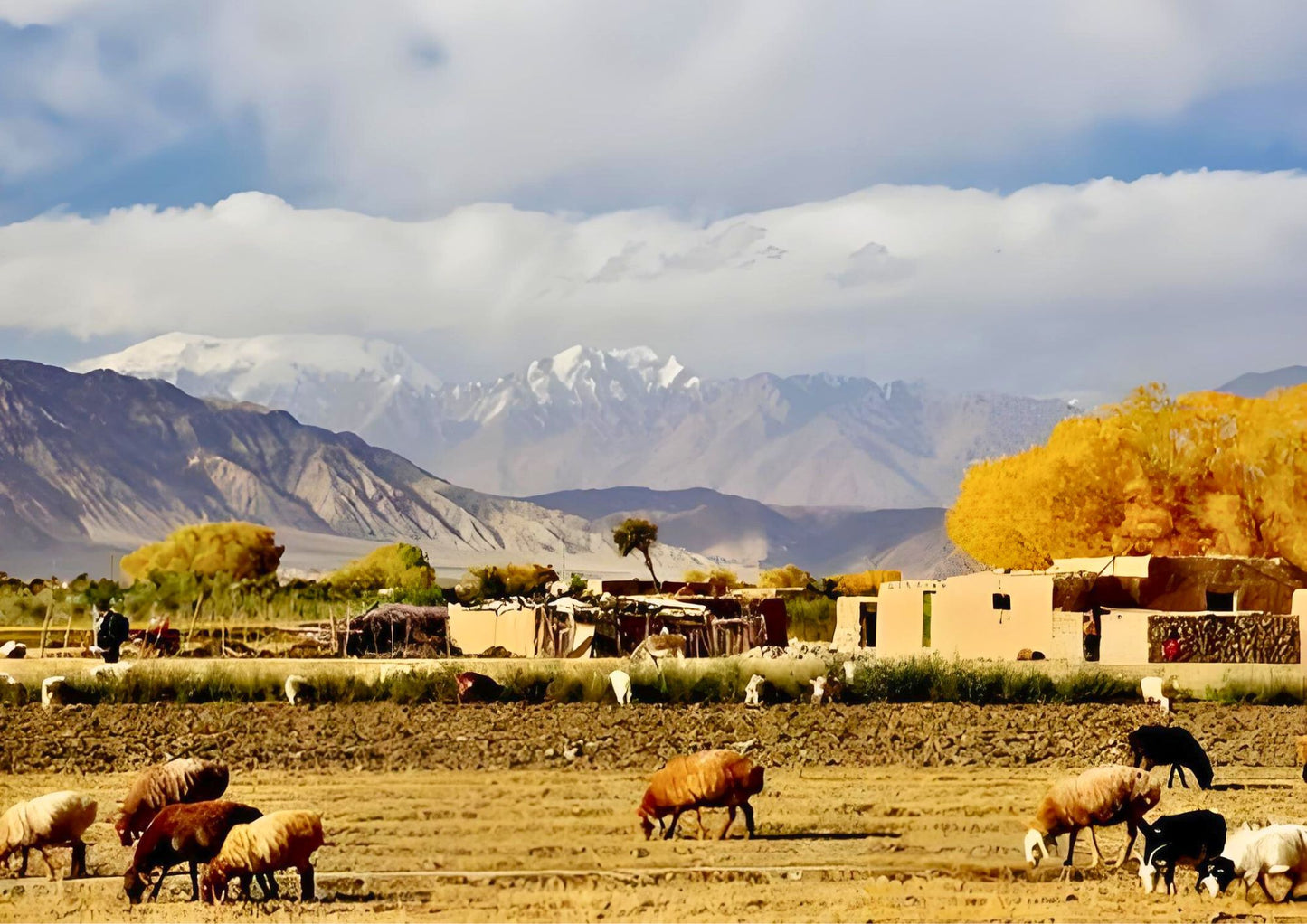 7 DAYS SOUTH XINJIANG PRIVATE TOUR