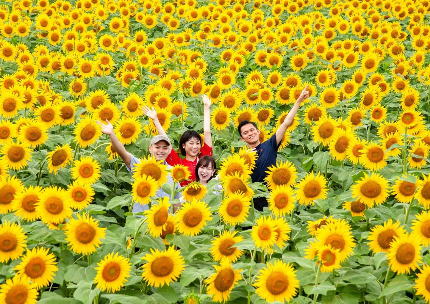 10天甲信越私人包團