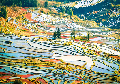 14 DAYS XISHUANGBANNA PRIVATE TOUR