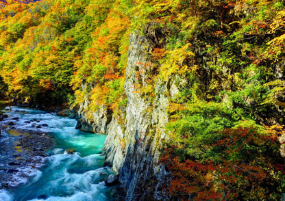 10天甲信越私人包團