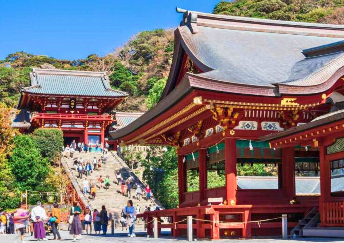 7 DAYS SOUTH KANTO PRIVATE TOUR