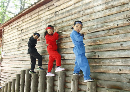 13天甲信越私人包團