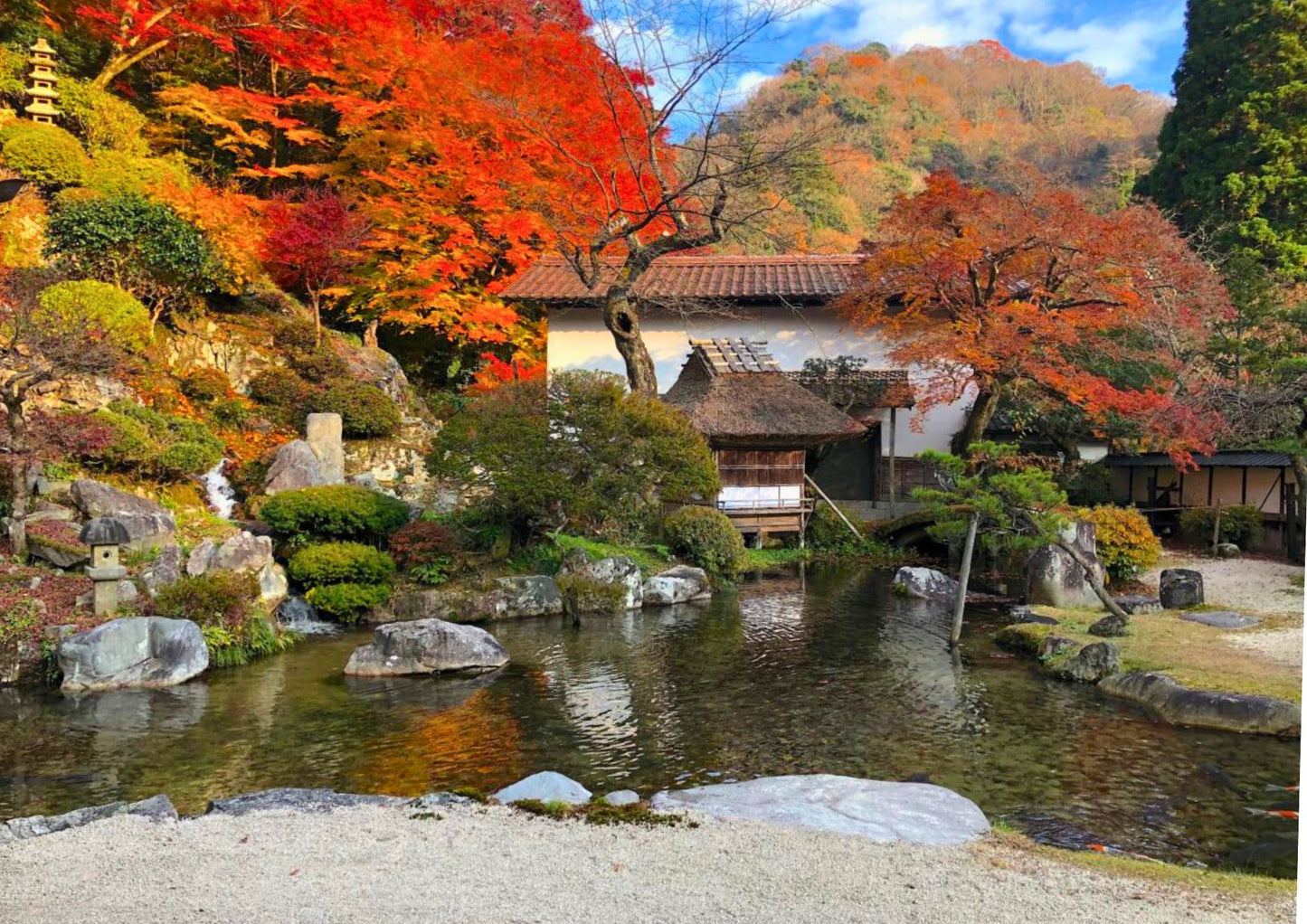 10天山陽・山陰私人包團