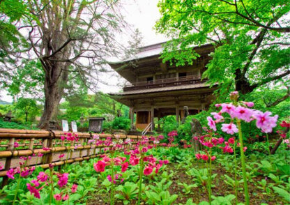 6 DAYS NORTH KANTO PRIVATE TOUR