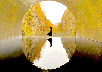 10天甲信越私人包團