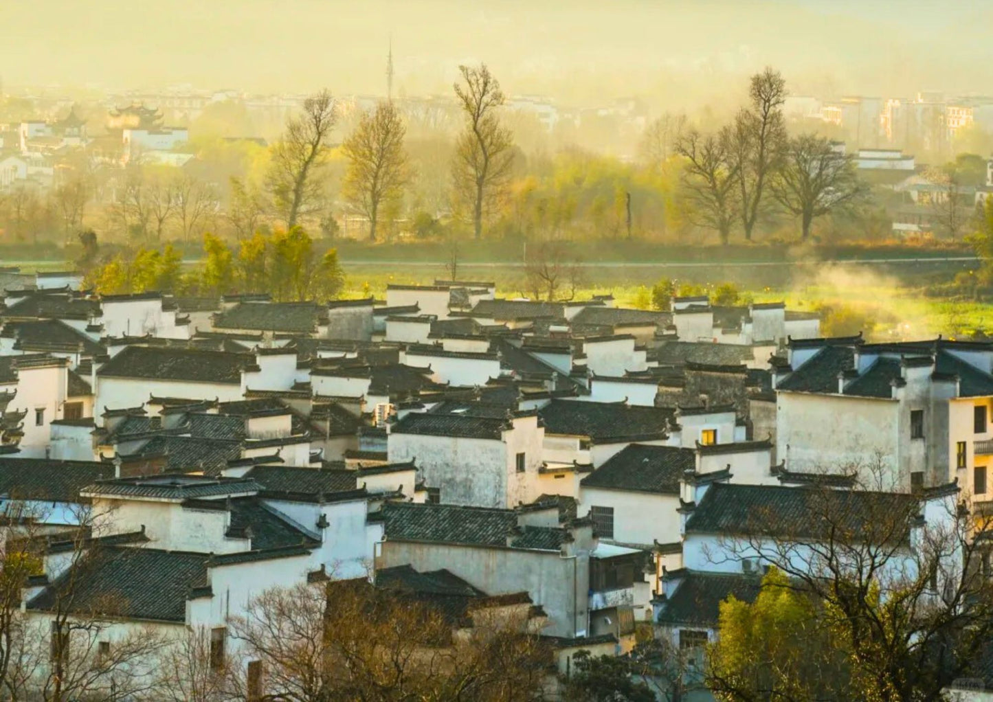 7日間の黄山プライベートツアー