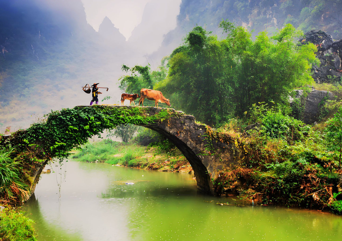 4 DAYS QINGYUAN PRIVATE TOUR