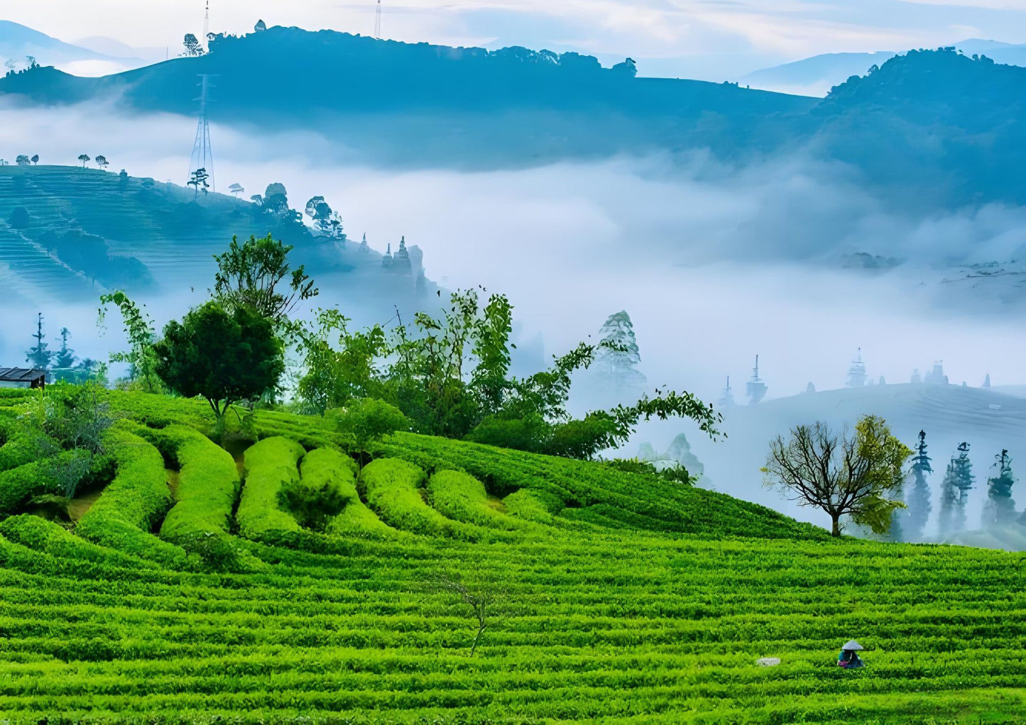 14 DAYS XISHUANGBANNA PRIVATE TOUR