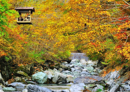 8 DAYS SHIKOKU PRIVATE TOUR