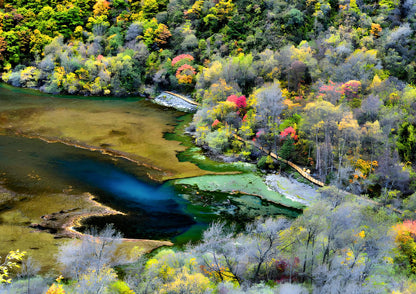 8 DAYS JIUZHAIGOU PRIVATE TOUR