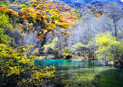 8 DAYS JIUZHAIGOU PRIVATE TOUR