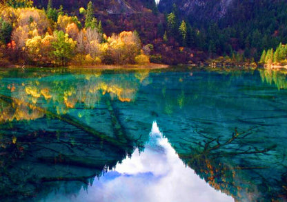 8 DAYS JIUZHAIGOU PRIVATE TOUR