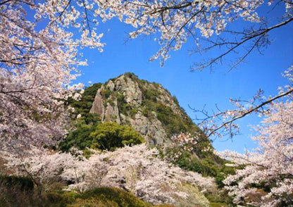 8 DAYS WEST KYUSHU PRIVATE TOUR