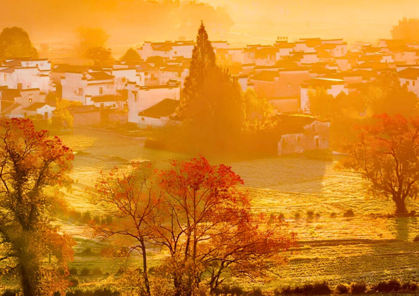 7日間の黄山プライベートツアー